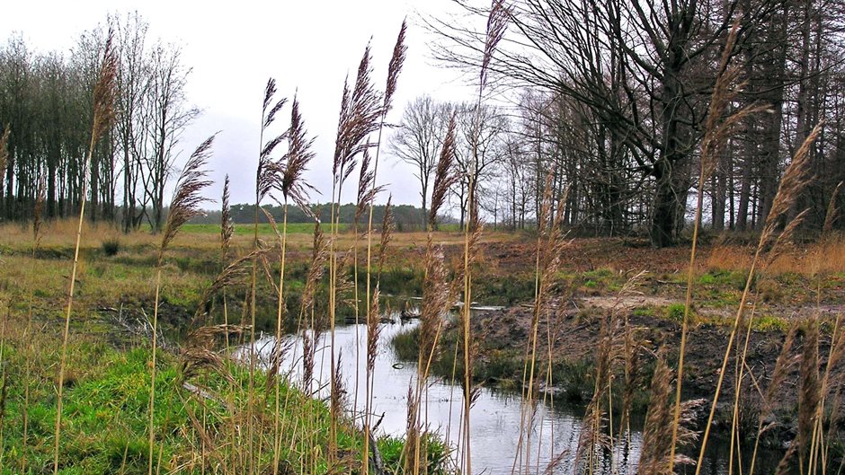 meanderende beek in Vledder met groen landschap