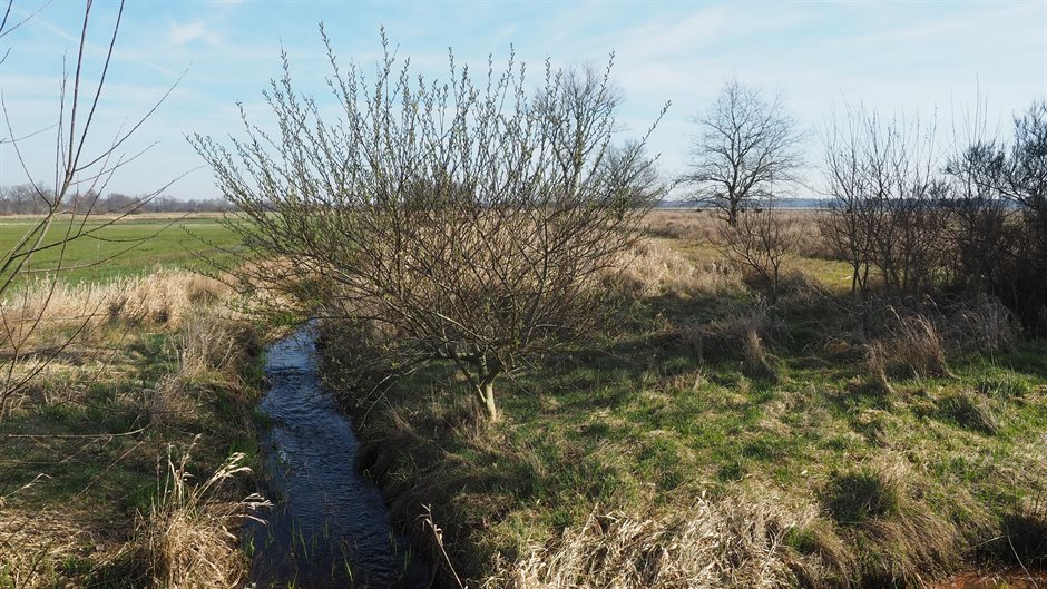 Landschap in Doldersum met een rechte beek en links en rechts van de beek groen grasland