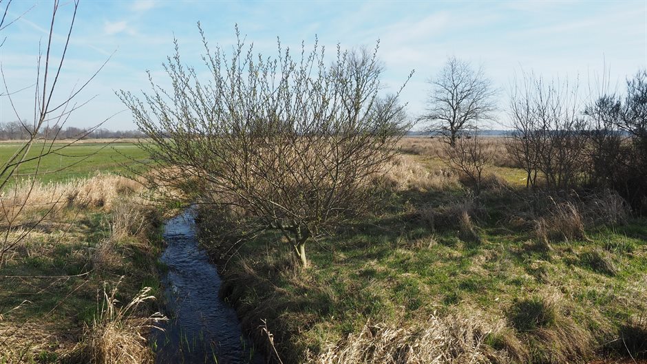 Beek in Doldersum. Rechts en links van de beek groen grasland