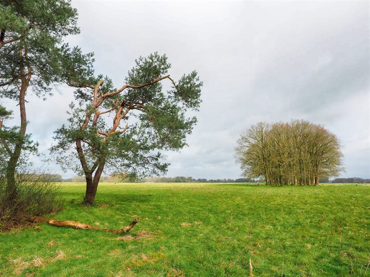 Holtingerveld-Noord HV 02-04-24 (5)