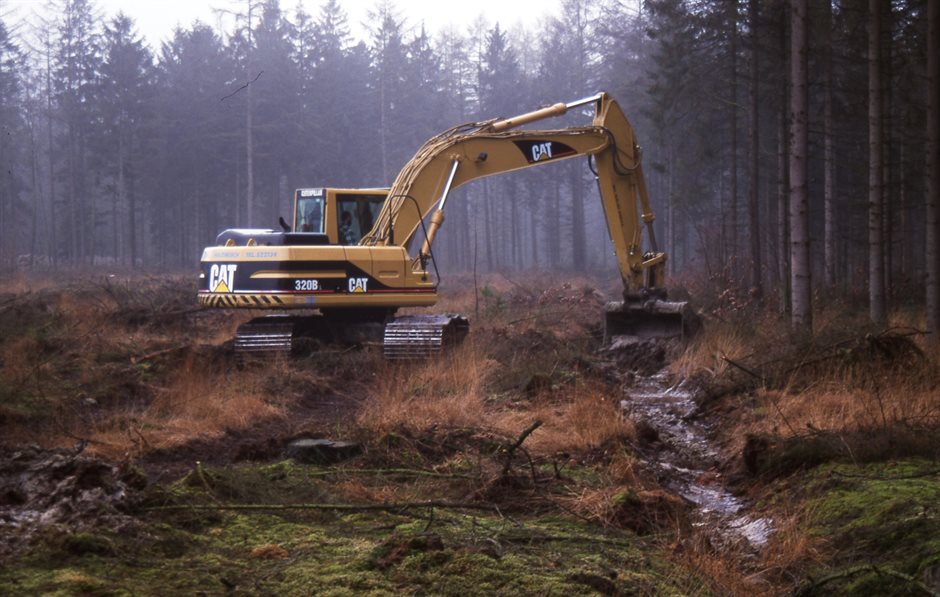Foto: Albert Henckel, Staatsbosbeheer