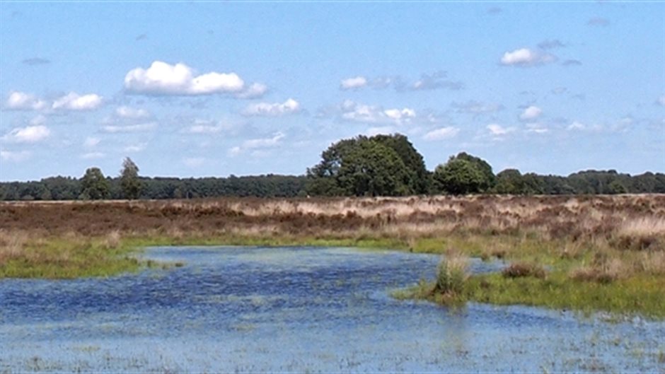 landschap kraloerheide met water
