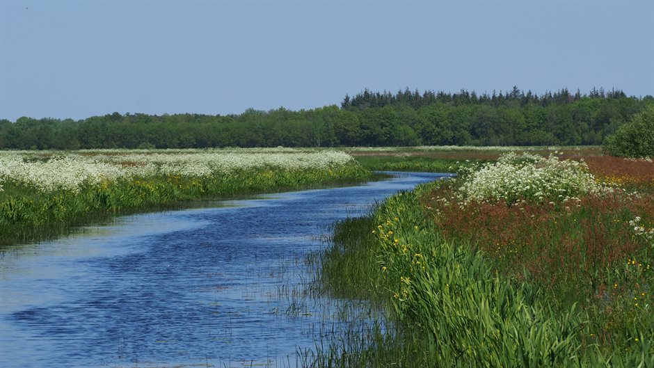 landschap met vledder aa