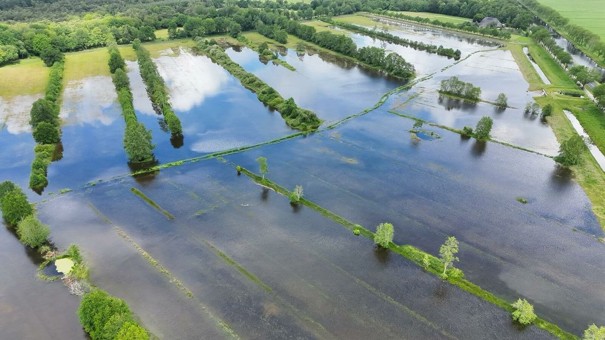 Foto: Natuurmonumenten